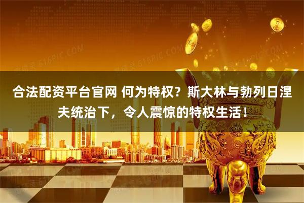 合法配资平台官网 何为特权？斯大林与勃列日涅夫统治下，令人震惊的特权生活！
