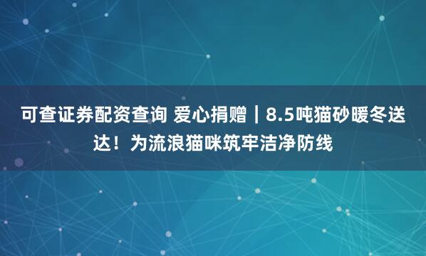 可查证券配资查询 爱心捐赠｜8.5吨猫砂暖冬送达！为流浪猫咪筑牢洁净防线